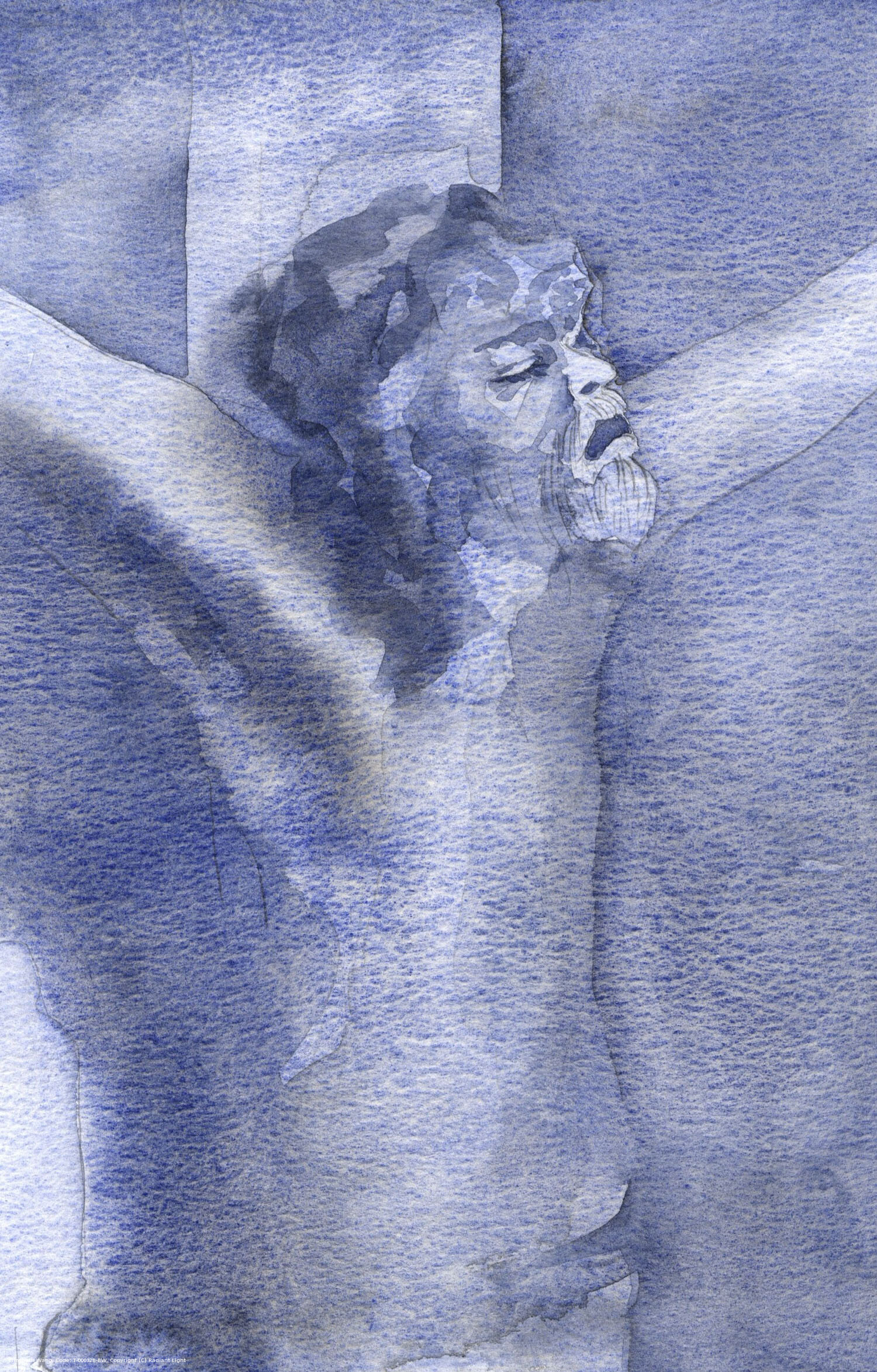 One Palm Sunday I saw within my soul Our Lord's terrible cry from the cross. We who are weak can be certain that He has shared our weakness, though not our sinfulness.