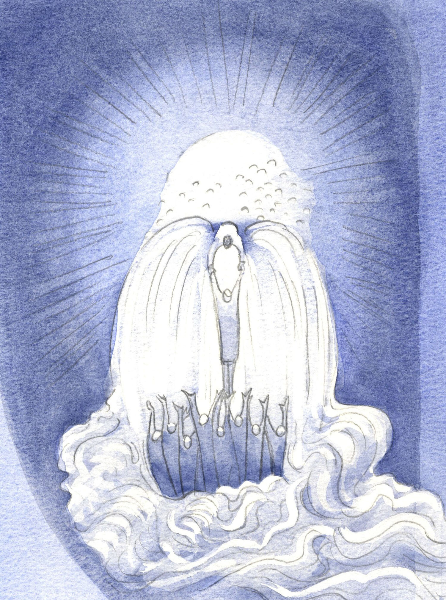 Christ is a 'Waterfall' of graces. He lifts us all, in the Mass, to God our Father, the Source of all graces, in the Spirit.