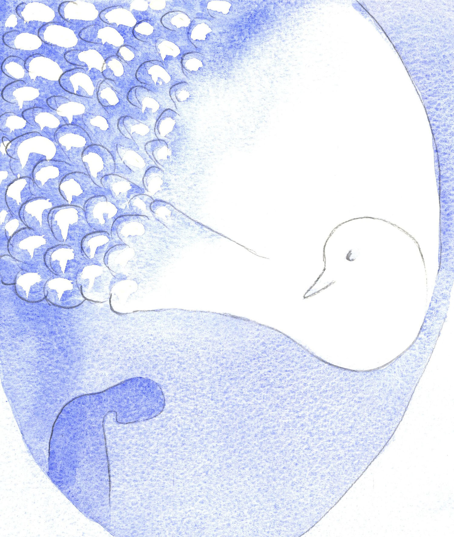 The most Holy Spirit - seen as a beautiful bird with dazzling white feathers - is present and at work in us.