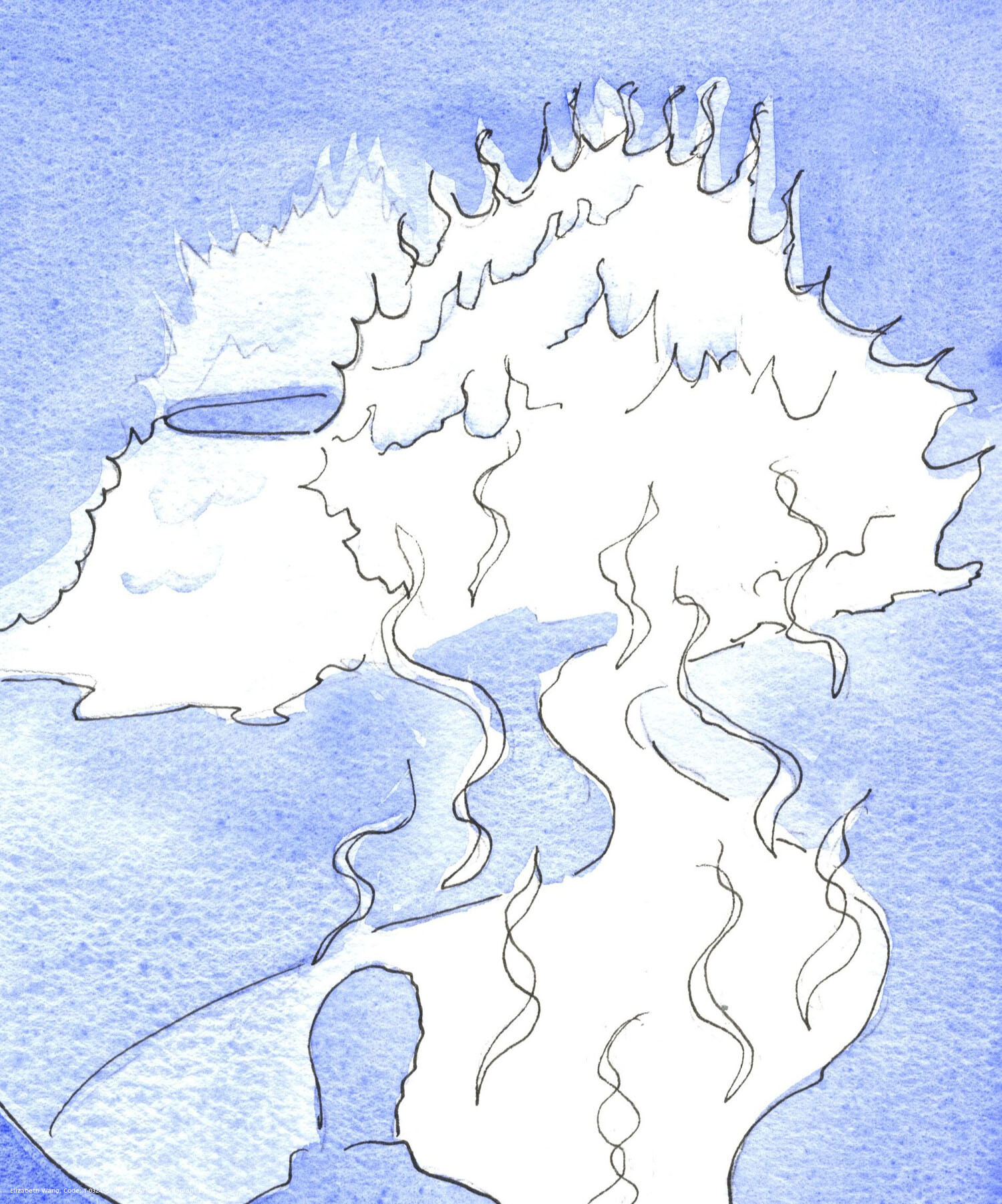 I was shown a representation of the Godhead: a mountain of fire, the top of which moved towards me and touched me with Divine sweetness