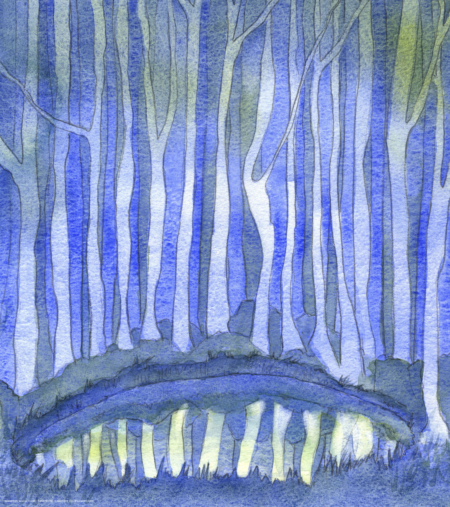 Just as a person in a wood cannot see the depths of a deep forest pool, so no-one can 'fathom' God, or ever understand and know Him completely; but it is nevertheless important to learn about God's nature and attributes, through reason and revelation.