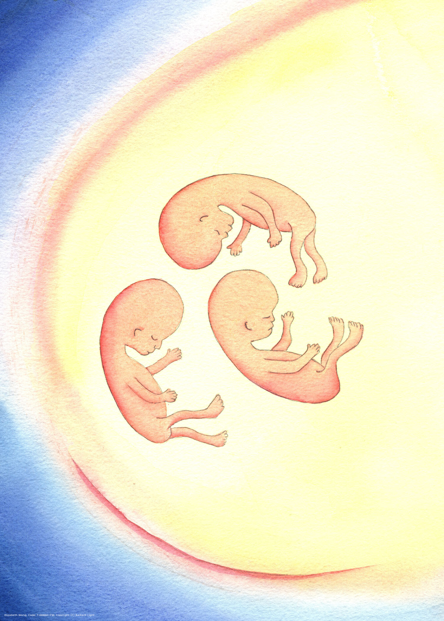 Life is precious. God gives life to every human being; and we should respect every human being, at every stage of that person's existence - from conception until natural death.