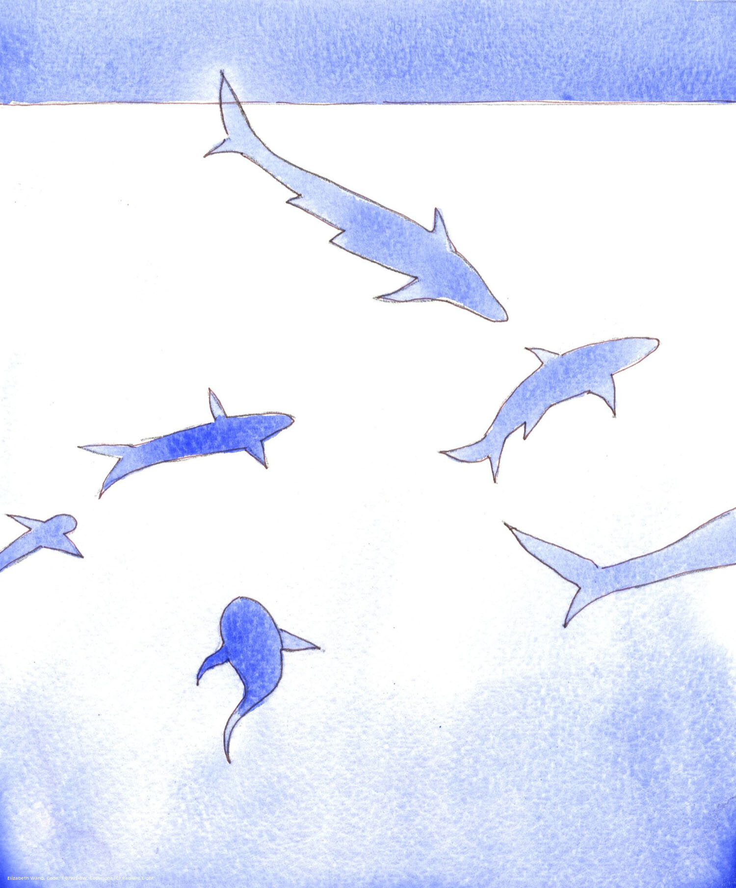 God created all that lives and breathes - even sharks and tarantulas, and other creatures that kill. Yet everything shows out some facet of His nature - such as the beauty and single-mindedness of a shark - or the extent of His creative power, in the amazing creatures, colours and varieties of means of motion.
