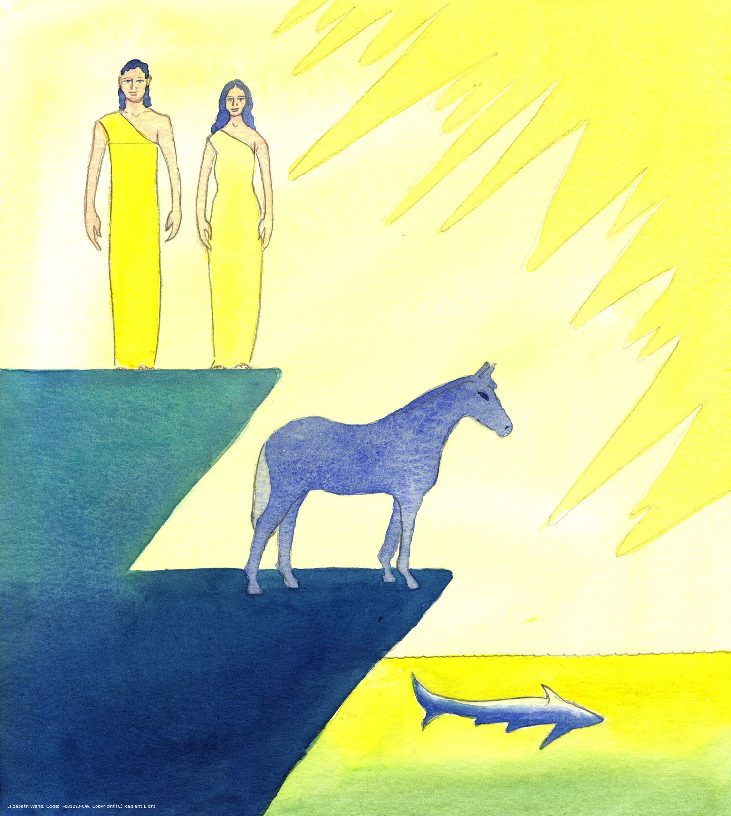 The hierarchical ordering of creation is part of the plan of God our Creator, with human beings 'higher' than fish and animals. Man and woman are equally important in God's sight, and designed to come together for a life-long union and the creation of children in a union properly called marriage.