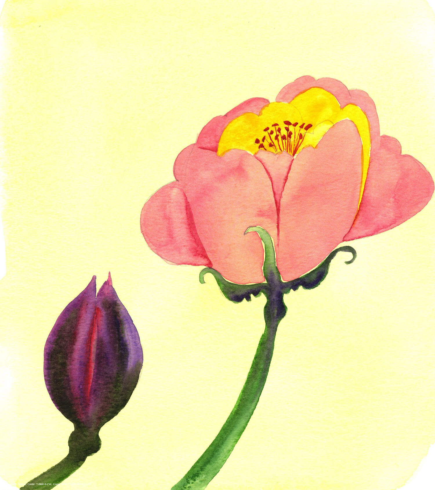 We can be helped to bear painful memories if we notice the spiritual growth that was the result of accepting and offering up those trials in union with Christ - even those caused by our own foolishness. All seems disastrous when a flower bud splits open; but only by that 'injury' can a beautiful flower emerge.