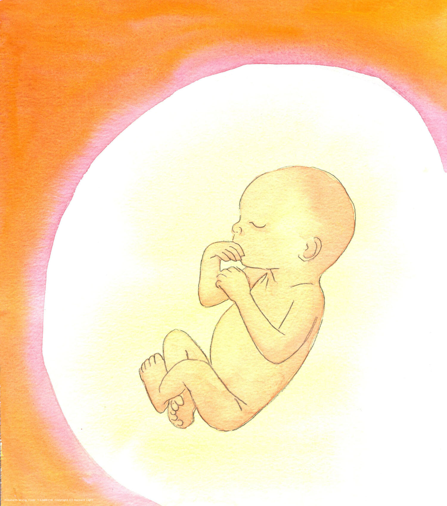 There is no gift from Heaven so precious as the gift of life, in a tiny child, except the gift of Eternal Life, which is Heaven, and salvation. Those who refuse the gift of life by rejecting the infant in the womb, are rejecting the Giver, Who is God, and failing to trust in Him. By killing the child, they risk their eternal Salvation.