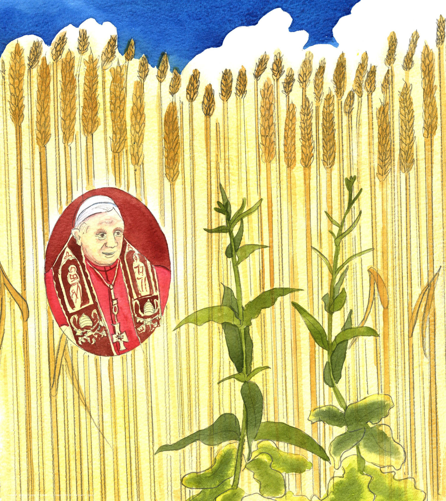 Some Catholics spread distorted beliefs through emotive speech and amusing stories; but Christ knows that the 'wheat and tares' are growing in the Church, side by side. If the weeds are a danger to the Church, the 'wheat' keeps growing, for example, the 'wheat' of the wise teaching of Pope Benedict in his books, interviews and homilies.