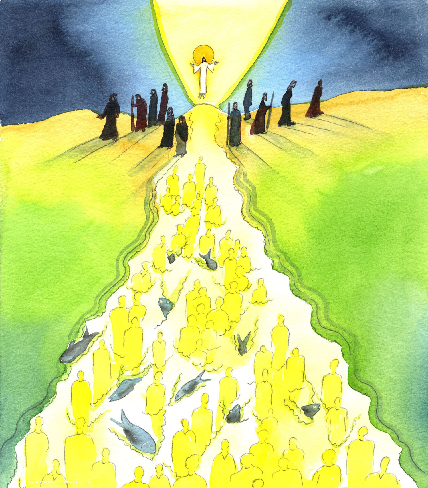 We must pray with fervour, that everyone will see the truth: that from Christ, (and from His chosen Apostles) has come a river of redeemed humanity: each person forgiven and transformed by grace - except for those who now resemble dead fish floating in that river because they deserted Christ, whether through deliberate mortal sin or ceasing to believe in Him.
