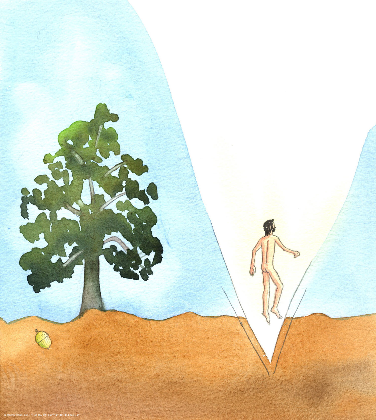 Does not a great tree spring from a seed, in the dust of the earth? Why should God not have brought a man out of the depth of the earth, by His almighty power? He is capable of doing what is described in Sacred Scripture.