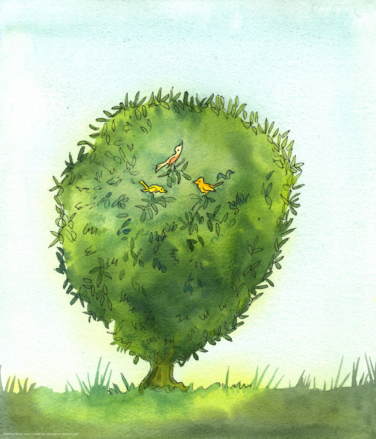 As a healthy bush in a well-tended garden hides within itself little birds who joyfully sing all day, so the soul of someone who loves Christ hides within itself Christ, Who sings out His praise of the Father, all day; and that soul can join in!